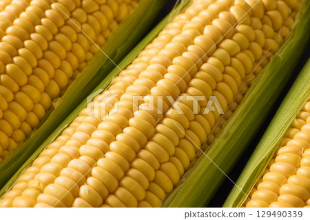 新鮮的玉米 129490339