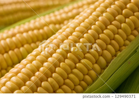 新鮮的玉米 129490371