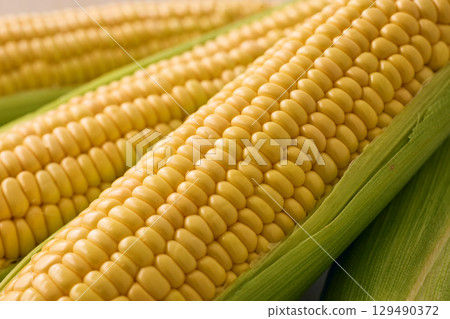Fresh corn 129490372
