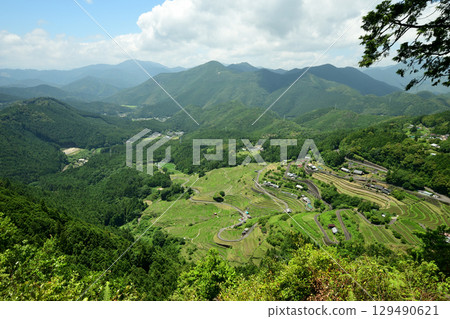 View of Tsuenomine and Maruyama Senmaida from Tori Pass Observatory [Kiwacho, Kumano City, Mie Prefecture] 129490621