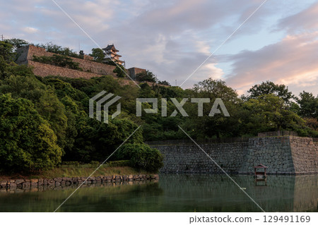 Marugame Castle illuminated by the sunset (Marugame City, Kagawa Prefecture) Marugame Castle illuminated by the sunset (Marugame City, Kagawa Prefecture) 129491169