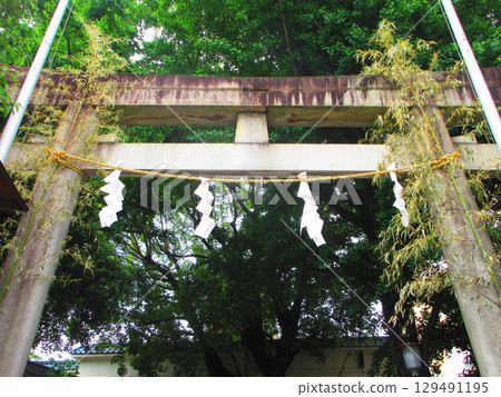 Various scenes from the 2025 Torigoe Festival Various scenes from the 2025 Torigoe Festival 129491195