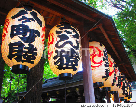Various scenes from the 2025 Torigoe Festival Various scenes from the 2025 Torigoe Festival 129491197
