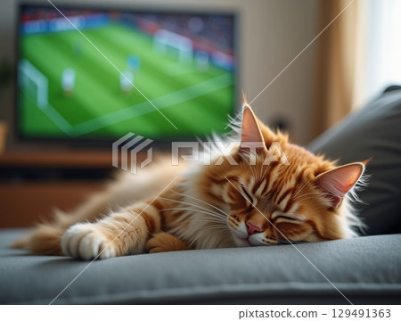 Cozy Indoor Scene of a Ginger Cat Sleeping on Sofa Comfortably 129491363