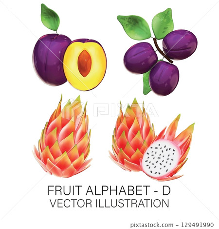 3D Vector Fruit Alphabet D Set: Realistic Damson Plum and Dragon Fruit Illustration on White Background 3D Vector Fruit Alphabet D Set: Realistic Damson Plum and Dragon Fruit Illustration on White Background 129491990