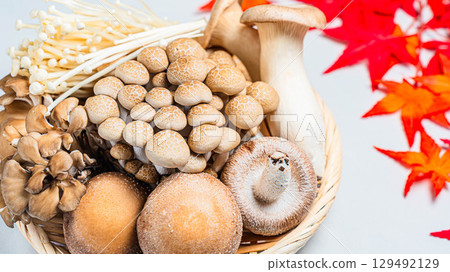 Autumn leaves and mushroom platter: Shiitake, Shimeji, Enoki, Maitake, King oyster mushroom 129492129