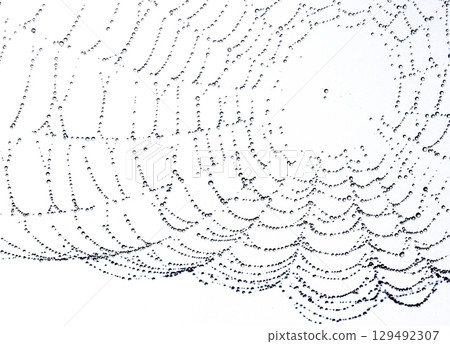白色背景上漂浮水滴的蜘蛛網(宏觀、抽象構圖) 白色背景上漂浮水滴的蜘蛛網(宏觀、抽象構圖) 129492307