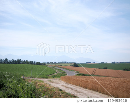 美瑛拼布路的風景 129493616