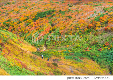 秋季攀登栗駒山（宇文沼～東栗駒） 129493630