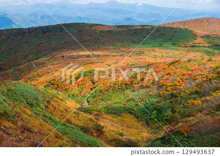 Climbing Mount Kurikoma in autumn (Ubunuma to Higashi-Kurikoma) 129493637