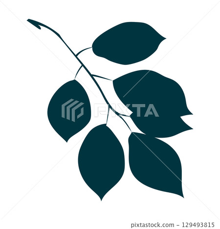 Hand-drawn brunch with leaves silhouette isolated on white background. Flat style vector illustration. 129493815