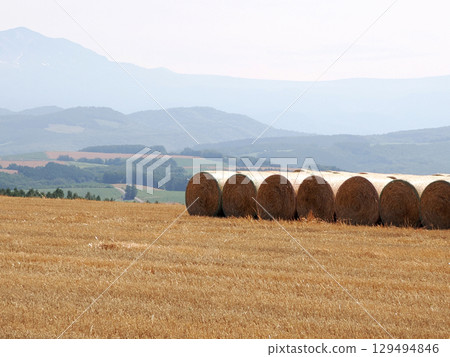 Rolls of hay lined up on Shujitsu Hill Rolls of hay lined up on Shujitsu Hill 129494846