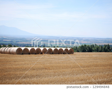 Rolls of hay lined up on Shujitsu Hill Rolls of hay lined up on Shujitsu Hill 129494848
