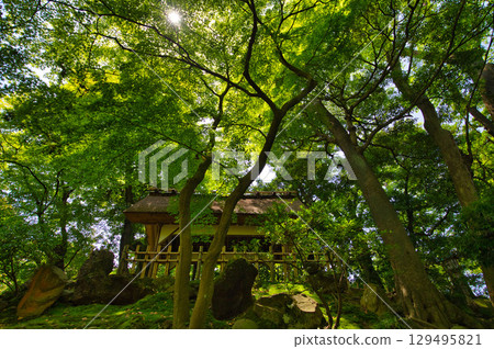 A famous garden in early summer 129495821