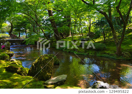 初夏的名園 初夏的名園 129495822