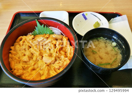 Sea Urchina on Hokkaido 129495994