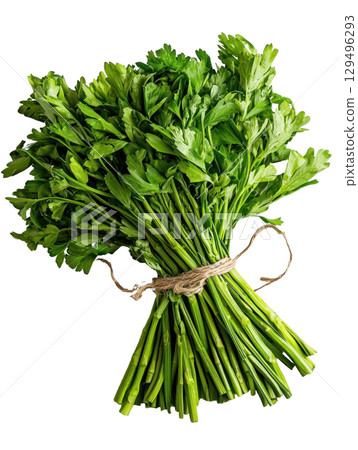 Fresh parsley bunch tied with twine, isolated on transparency background 129496293