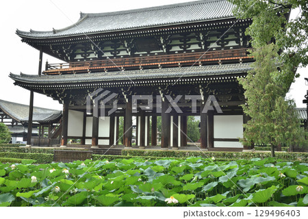 Tofukuji Temple Sanmon Gate in summer (Higashiyama Ward, Kyoto City) Tofukuji Temple Sanmon Gate in summer (Higashiyama Ward, Kyoto City) 129496403