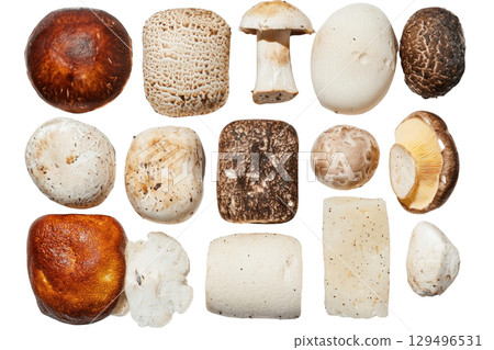 Various types of fresh mushrooms arranged in grid on transparency background 129496531