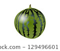 Illustration of a large watermelon 129496601