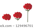 Illustration of red carnation 129496701