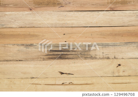 background texture nature wooden cut hardwood forest  129496708