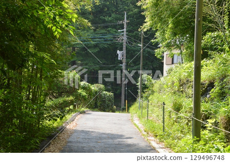 A road surrounded by green 129496748