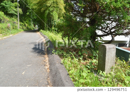 A road surrounded by green A road surrounded by green 129496751