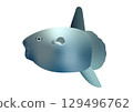 Illustration of a swimming sunfish 129496762