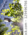 Tokyo green 129496766