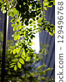 Tokyo green 129496768