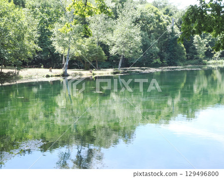 A highly transparent pond made of spring water A highly transparent pond made of spring water 129496800