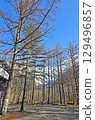 Vertical natural landscape photo with forest trees mountain in Nagoya Japan 129496857