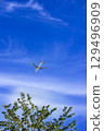 Tokyo's summer sky and airplanes 129496909