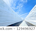 Tateyama Kurobe Alpine Route, with snow wall and blue sky in Nagoya Japan 129496927