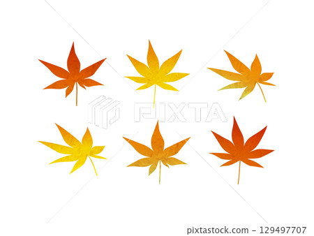 Watercolor illustration of autumn maple leaves Watercolor illustration of autumn maple leaves 129497707