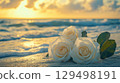 Beautiful White Roses on Sandy Beach with Sunset Scenery and Gentle Ocean Waves in Background Beautiful White Roses on Sandy Beach with Sunset Scenery and Gentle Ocean Waves in Background 129498191