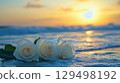 Serene Sunset Over Waves with White Roses on Shoreline Creating a Romantic Beach Atmosphere Serene Sunset Over Waves with White Roses on Shoreline Creating a Romantic Beach Atmosphere 129498192