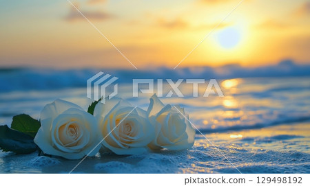 Serene Sunset Over Waves with White Roses on Shoreline Creating a Romantic Beach Atmosphere 129498192