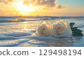 Serene White Roses on Sandy Beach with Gentle Waves and Golden Sunset in the Background Serene White Roses on Sandy Beach with Gentle Waves and Golden Sunset in the Background 129498194