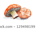 Watercolor Illustration of Two Vibrant Orange Mushrooms on a White Background Watercolor Illustration of Two Vibrant Orange Mushrooms on a White Background 129498199