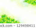 新鮮的綠葉和閃閃發光的清爽背景插圖素材 129498411