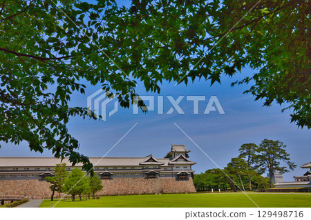 初夏的金澤城公園 初夏的金澤城公園 129498716