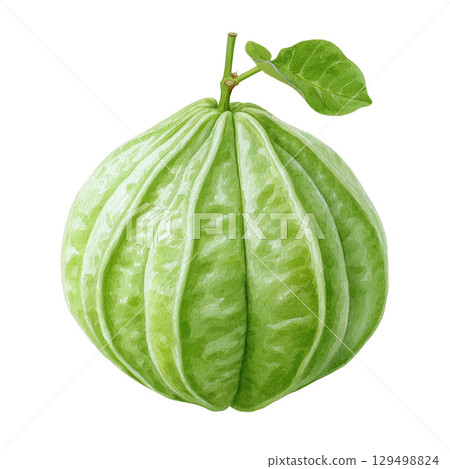 Green fruit with leaf watercolor painting shows natural freshness and organic texture in detailed botanical style artwork 129498824
