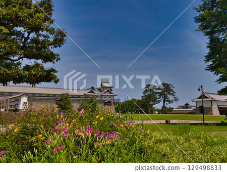 Kanazawa Castle Park in early summer 129498833