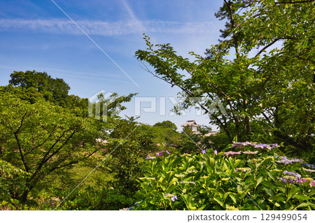Kanazawa Castle Park in early summer 129499054