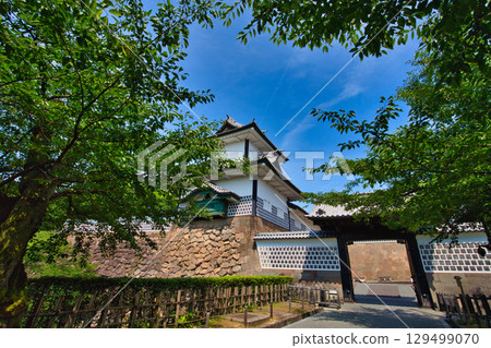Kanazawa Castle Park in early summer 129499070