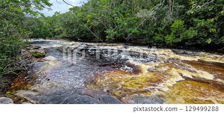 Macaws waterfall in Presidente Figueiredo near Manaus in the amazon region in Brazil Macaws waterfall in Presidente Figueiredo near Manaus in the amazon region in Brazil 129499288