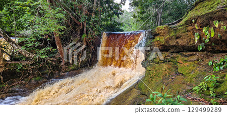 Macaws waterfall in Presidente Figueiredo near Manaus in the amazon region in Brazil 129499289
