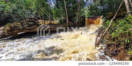 Macaws waterfall in Presidente Figueiredo near Manaus in the amazon region in Brazil Macaws waterfall in Presidente Figueiredo near Manaus in the amazon region in Brazil 129499290